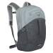 Osprey Comet Silver Lining/Tunnel Vision 30 L Batoh