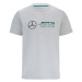 Mercedes AMG Petronas pánske tričko logo grey F1 Team 2022