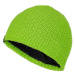 Children's winter hat LOAP ZAFO Green