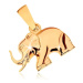 Prívesok zo žltého 9K zlata - ligotavý kráčajúci sloník