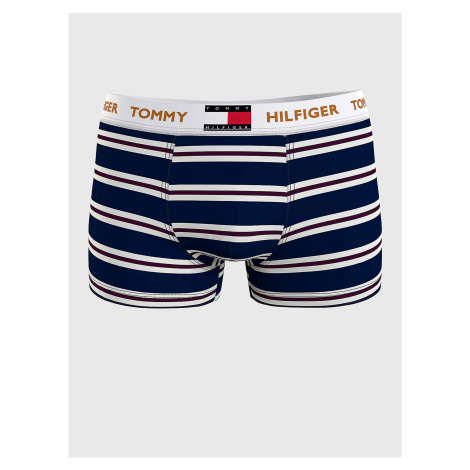 Pánske módne oblečenie Tommy Hilfiger