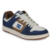 DC Shoes  MANTECA 4  Nízke tenisky Viacfarebná