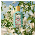 Gucci Flora Gorgeous Jasmine parfumovaná voda 30 ml