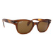 Ray-Ban RB0880S 664057 52