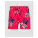 Pánske Boardshortky Quiksilver Everyday Mix Volley 15