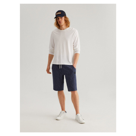 Diverse Men's shorts MANFILZ