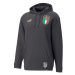 Pánska mikina Puma Figc Ftbl Coulture Hoody M 767136-09