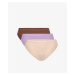 Briefs Atlantic 3LP-195 A'3 S-2XL cappucino-lavender-ecru 048