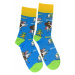 Pánske žlto-modré ponožky BELIE