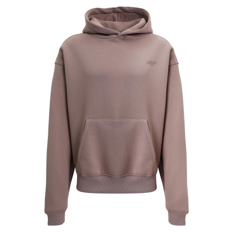 Men's sweatshirt FRANK Hoody powder