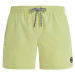 Men's beach shorts Protest PRTYESSINE