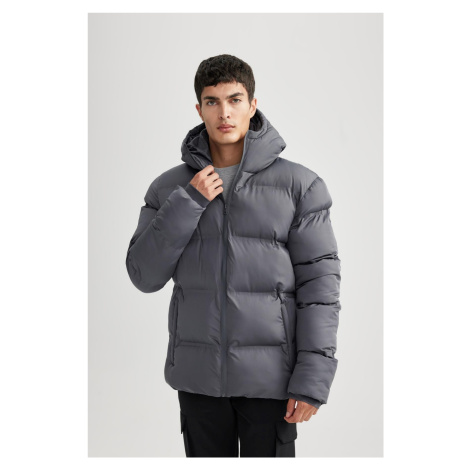 DEFACTO Water Repellent Regular Fit Hooded Puffer Jacket