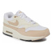 Nike Air Max 1 '87 W DZ2628-101