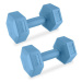 Spokey MONSTER Hexagonal dumbbell set, 2 kg