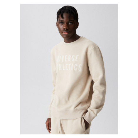 Diverse Men's sweatshirt ATH C 223