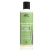 Urtekram Wild Lemongrass šampón pre normálne až suché vlasy