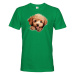 Pánské tričko s potlačou Pudel - tričko pre milovníkov psov