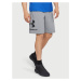 Grey Sportstyle Under Armour Men's Shorts