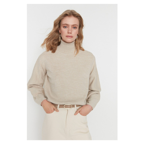 Trendyol Stone Basic Turtleneck Knitwear Sweater