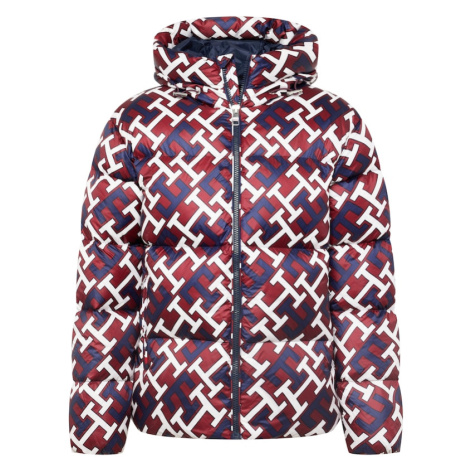 Pánske zimné bundy Tommy Hilfiger