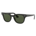 Ray-Ban Meteor RB2168 901/31 50