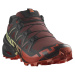 Salomon Speedcross 6