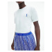 Pánske krátke pyžamo 000NM2128E - W17 - Modrá - Calvin Klein bílo-modrá