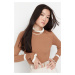 Trendyol Camel Color Block Knitwear Sweater