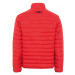 Bunda Camel Active Blouson Red