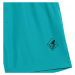 Chlapčenské plavky 4F JUNIOR BOARD SHORTS M018-47S-MINT