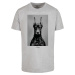 Men's T-shirt Dawg grey