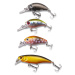 Saenger set woblerov trout 1