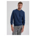 DEFACTO Regular Fit Basic Sweatshirt