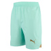 Puma SKS Shorts Promo Pánske futbalové šortky, tyrkysová, veľkosť
