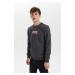 DEFACTO Slim Fit Licensed by Marvel Long Sleeve Sweatshirt