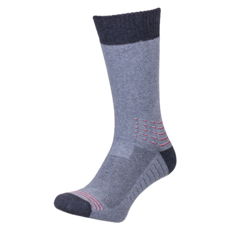 Pánske ponožky Thermo-silver směs barev Milena