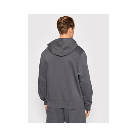 Nike Mikina Sportswear Graphic DD5242 Sivá Standard Fit