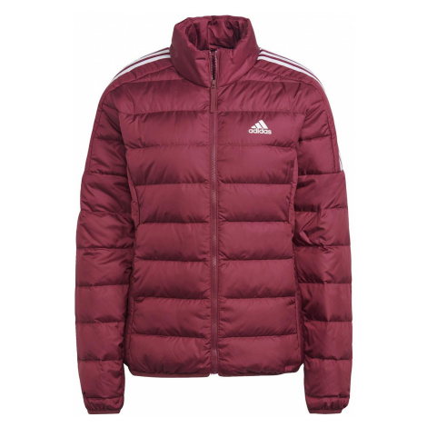 Dámske outdoorové bundy Adidas