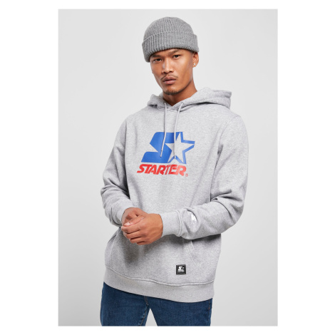 Starter Two Color Logo Hoody h.Gray