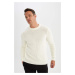 DEFACTO Standard Fit Regular Cut Crew Neck Jacquard Aviator Knitwear Sweater