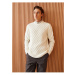 LC Waikiki Crew Neck Long Sleeve Men's Knitwear Sweater