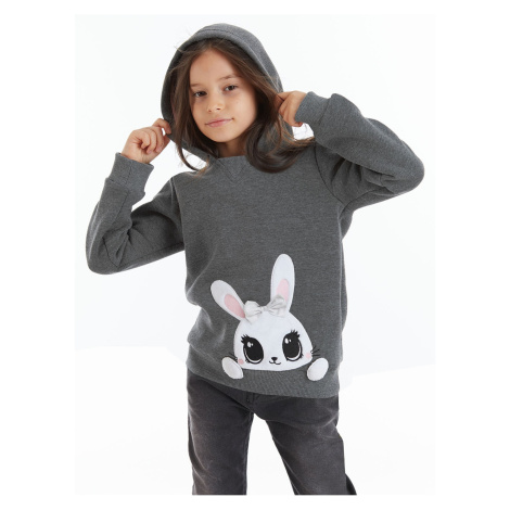 Denokids Cute Rabbit Girls Sweatshirt