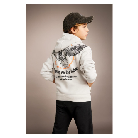 DEFACTO Boy's Printed Hooded Thick Sweatshirt