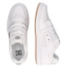 DC Shoes Nízke tenisky 'MANTECA 4'  tmavosivá / biela