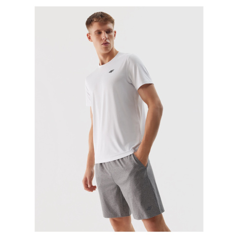 Men's 4F Sports Quick-Drying Shorts - Grey