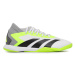 Adidas Futbalové topánky Predator Accuracy.3 Indoor Boots GY9990 Biela