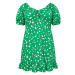Dorothy Perkins Curve Šaty  zelená / biela