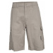 Men's Trespass Rawson Shorts