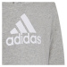 Adidas Colourblock Hoodie Jr HN8563