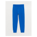 LC Waikiki Basic Boy's Jogger Sweatpants with Elastic Waist